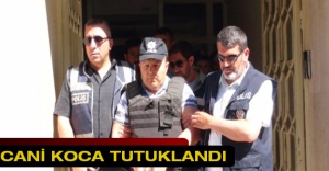 Cani koca tutuklandı