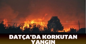 Datça’da korkutan yangın