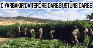 Diyarbakır’da teröre darbe üstüne darbe