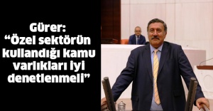 Gürer: “Özel sektörün kullandığı kamu varlıkları iyi denetlenmeli”