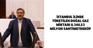 İSTANBUL İLİNDE TÜKETİLEN DOĞAL GAZ MİKTARI 8.344,53 MİLYON SANTİMETREKÜP