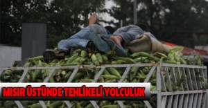 Mısır üstünde tehlikeli yolculuk