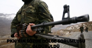 PKK’nın sözde bölge sorumlusu öldürüldü