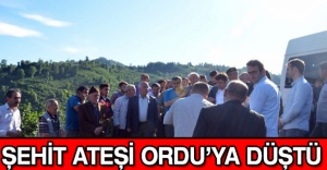 Şehit ateşi Ordu’ya düştü