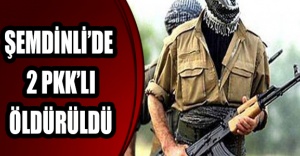 Şemdinli’de 2 PKK’lı öldürüldü