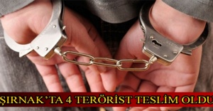 Şırnak’ta 4 terörist teslim oldu
