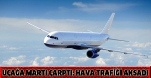 Uçağa martı çarptı: Hava trafiği aksadı