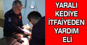 Yaralı kediye itfaiyeden yardım eli