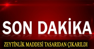 Zeytinlik maddesi tasarıdan çıkarıldı