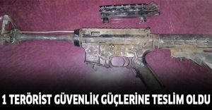 1 terörist güvenlik güçlerine teslim oldu