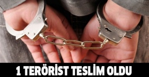 1 terörist teslim oldu