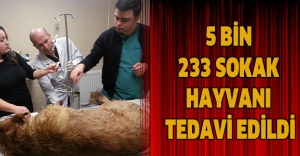 5 bin 233 sokak hayvanı tedavi edildi