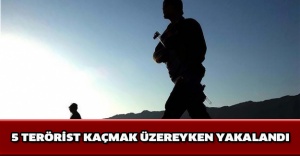 5 terörist kaçmak üzereyken yakalandı