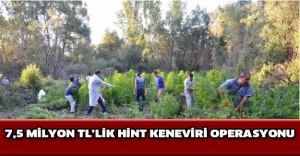 7,5 milyon TL’lik Hint keneviri operasyonu
