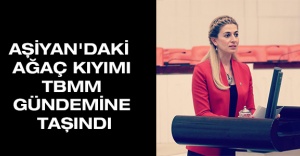 AŞİYAN'DAKİ AĞAÇ KIYIMI TBMM GÜNDEMİNE TAŞINDI