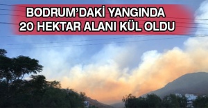 Bodrum’daki yangında 20 hektar alanı kül oldu