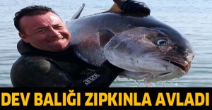 Dev balığı zıpkınla avladı