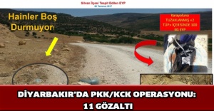 Diyarbakır’da PKK/KCK operasyonu: 11 gözaltı