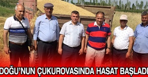 Doğu’nun Çukurovasında Hasat Başladı