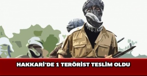 Hakkari’de 1 terörist teslim oldu