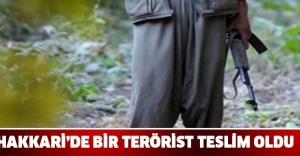 Hakkari’de bir terörist teslim oldu