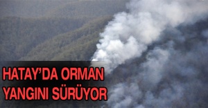 Hatay’da orman yangını sürüyor