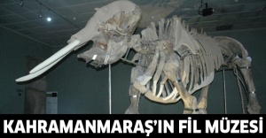 Kahramanmaraş’ın fil müzesi