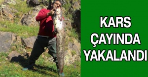 Kars Çayında yakalandı