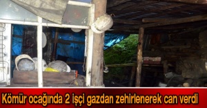 Kömür ocağında 2 işçi gazdan zehirlenerek can verdi