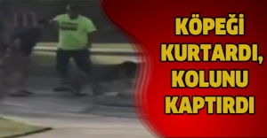 Köpeği kurtardı, kolunu kaptırdı