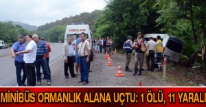 Minibüs ormanlık alana uçtu: 1 ölü, 11 yaralı