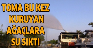 TOMA bu kez kuruyan ağaçlara su sıktı
