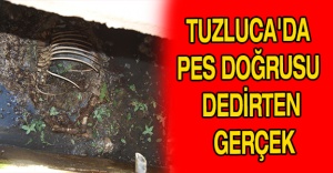 Tuzluca'da pes doğrusu dedirten gerçek
