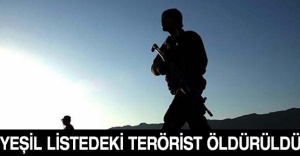 Yeşil listedeki terörist öldürüldü