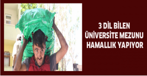 3 dil bilen üniversite mezunu hamallık yapıyor