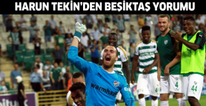 Harun Tekin’den Beşiktaş yorumu