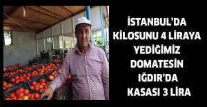 İstanbul’da kilosunu 4 liraya yediğimiz domatesin Iğdır’da Kasası 3 lira