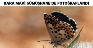 Kara Mavi Gümüşhane’de fotoğraflandı