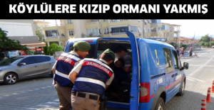 Köylülere kızıp ormanı yakmış