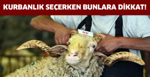 Kurbanlık seçerken bunlara dikkat!