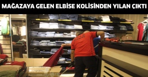 Mağazaya gelen elbise kolisinden yılan çıktı