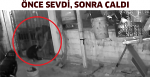 Önce sevdi, sonra çaldı