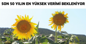 Son 50 yılın en yüksek verimi bekleniyor