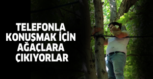 Telefonla konuşmak için ağaçlara çıkıyorlar