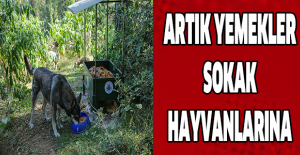 Artık yemekler sokak hayvanlarına