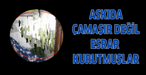 Askıda çamaşır değil esrar kurutmuşlar
