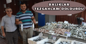 Balıklar tezgahları doldurdu
