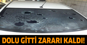 Dolu gitti zararı kaldı!