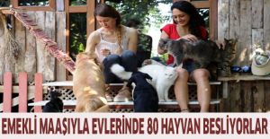 Emekli maaşıyla evlerinde 80 hayvan besliyorlar