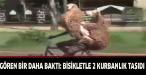 Gören bir daha baktı: Bisikletle 2 kurbanlık taşıdı